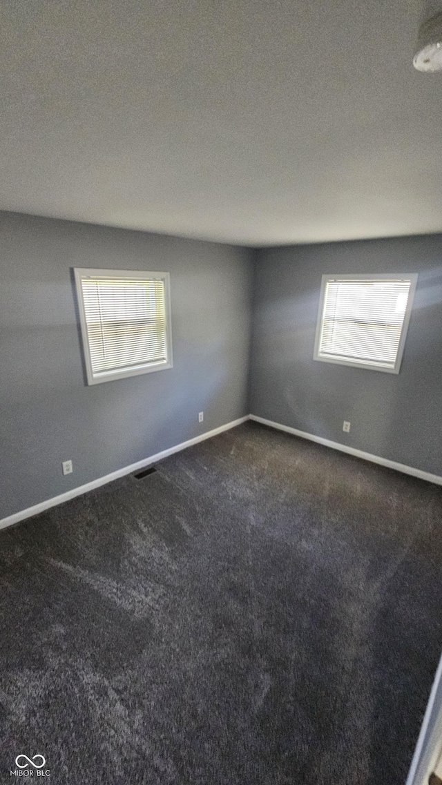 4614 Runyon Lake Dr W, Greenwood, IN 46143 - spare room featuring dark colored carpet and plenty of natural light