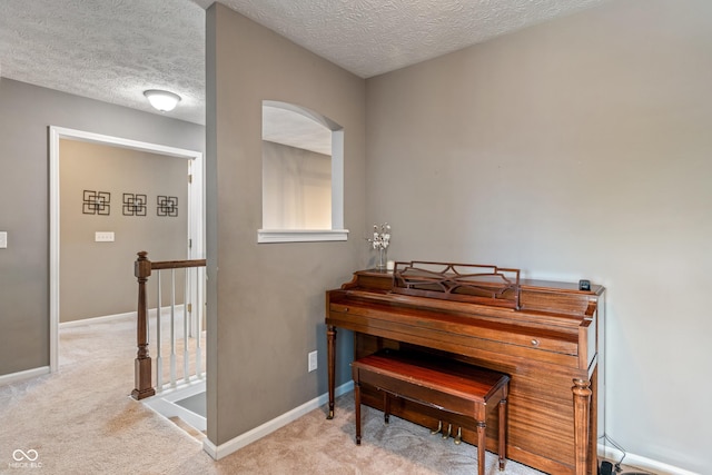 8754 Lily Ct, Zionsville, IN 46077 - living area with carpet floors, a textured ceiling, an upstairs landing, and arched walkways