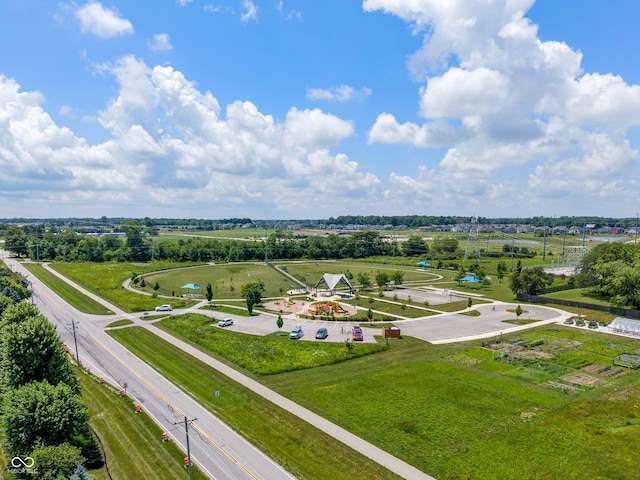 8754 Lily Ct, Zionsville, IN 46077 - drone / aerial view
