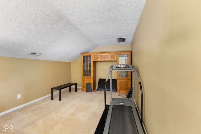 7412 Lattice Dr, Indianapolis, IN 46217 - exercise room with light carpet, a textured ceiling, and lofted ceiling