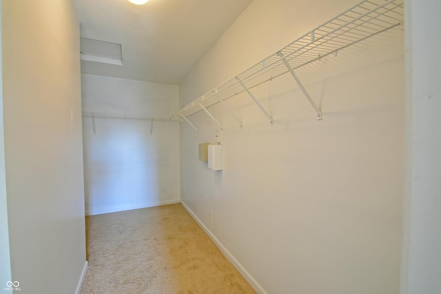 5262 Bogey Dr, Indianapolis, IN 46235 - spacious closet featuring carpet flooring