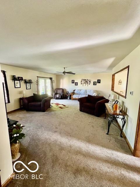 409 N Kyle St, Edinburgh, IN 46124 - living area featuring carpet and a ceiling fan