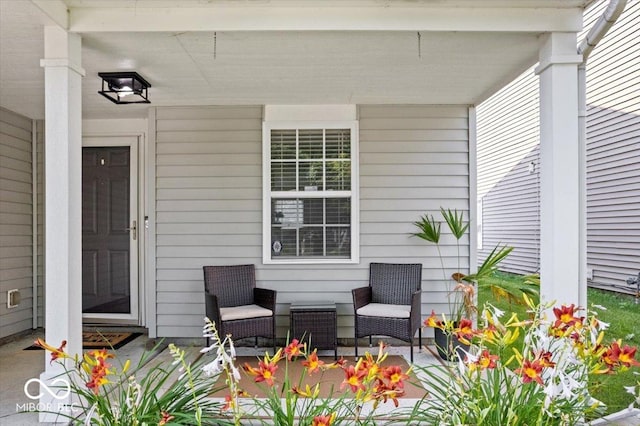 9497 W Stargazer Dr, Pendleton, IN 46064 - view of porch