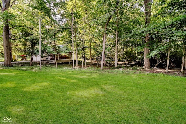 6280 N Chester Ave, Indianapolis, IN 46220 - view of grassy yard