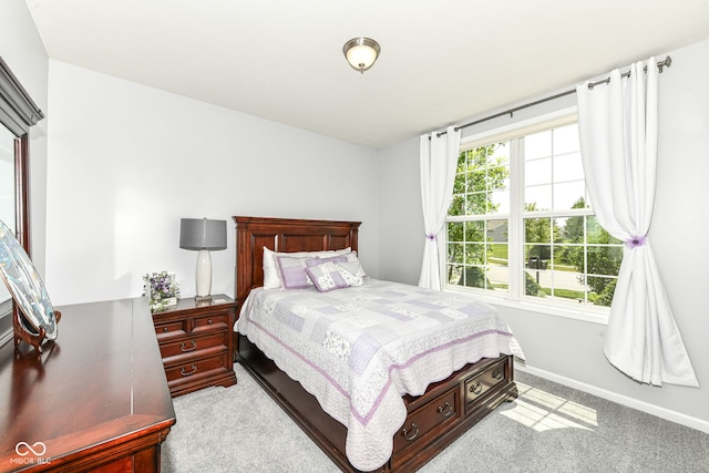 13427 Merryvale St, Fishers, IN 46037 - bedroom featuring carpet flooring and baseboards