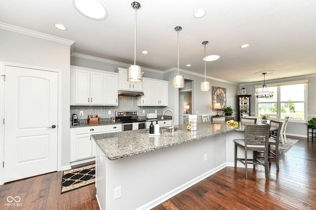 13427 Merryvale St, Fishers, IN 46037 - kitchen with stainless steel range with electric stovetop, under cabinet range hood, ornamental molding, dark wood-style flooring, and white cabinetry