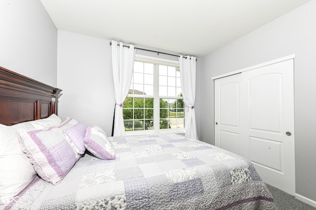 13427 Merryvale St, Fishers, IN 46037 - bedroom with a closet and carpet floors