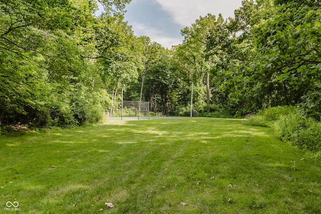 1616 W 116th St, Carmel, IN 46032 - view of green lawn