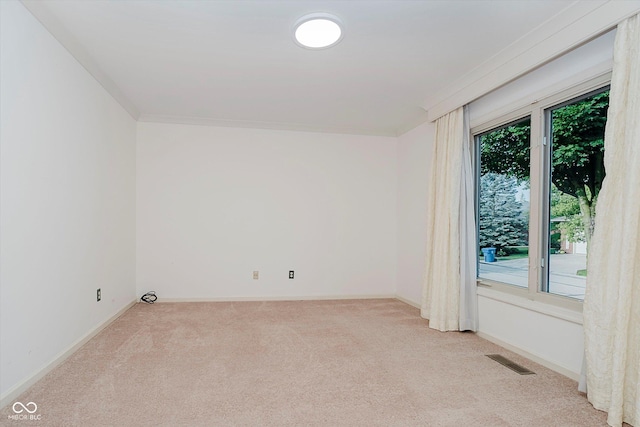 8649 Cricket Tree Ln, Indianapolis, IN 46260 - photo 32