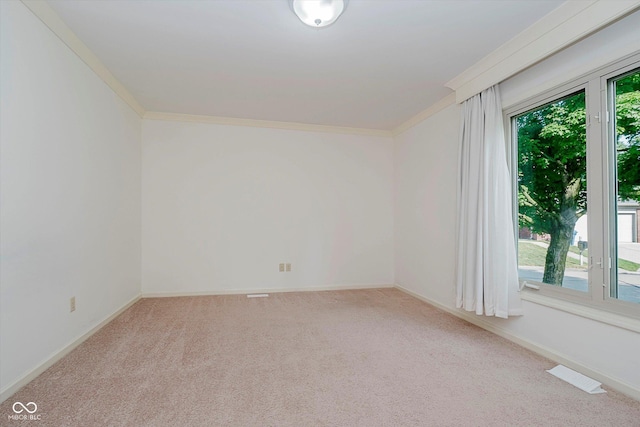 8649 Cricket Tree Ln, Indianapolis, IN 46260 - photo 39