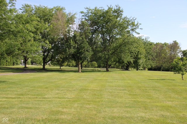 6298 Briargate Dr, Zionsville, IN 46077 - view of grassy yard