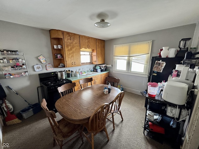 205 N Jackson St, Greencastle, IN 46135 - dining area with carpet floors and baseboards