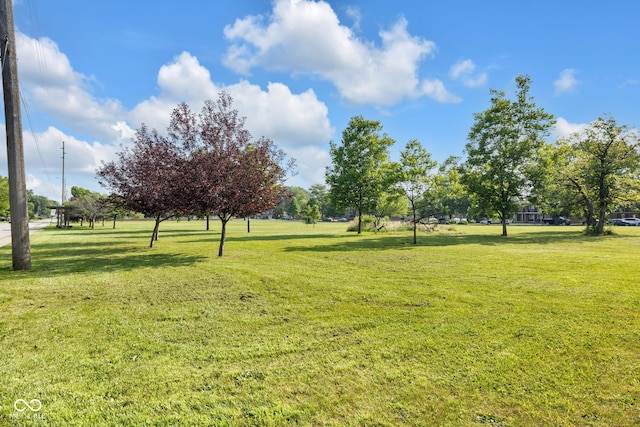 1231 N Graham Ave, Indianapolis, IN 46219 - view of green lawn