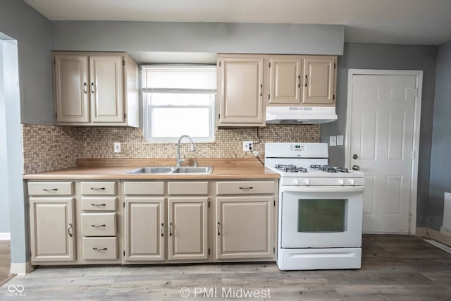 1217 S Ewing St, Indianapolis, IN 46203 - kitchen featuring white range with gas stovetop, under cabinet range hood, light countertops, and decorative backsplash