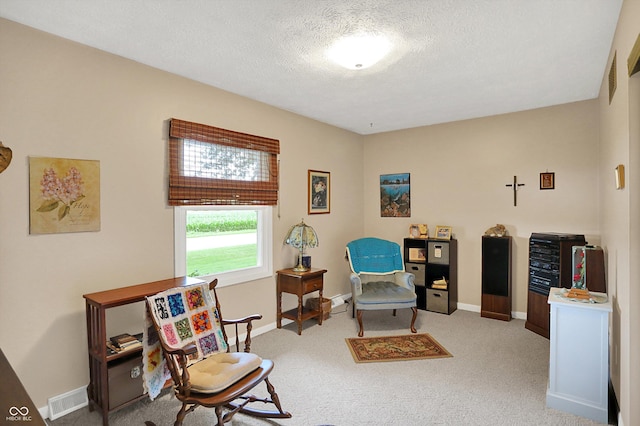 2777 S 600 E, Franklin, IN 46131 - living area featuring carpet floors and a textured ceiling