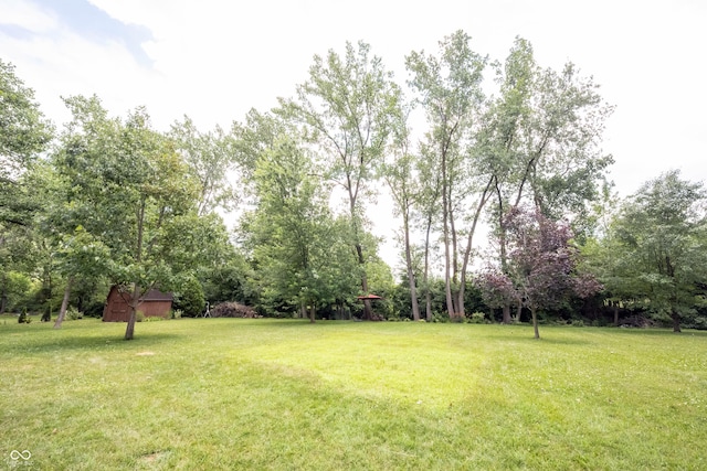 3711 Tara Ct, Carmel, IN 46074 - view of grassy yard with view of wooded area