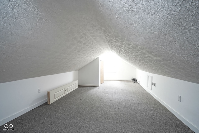 5902 Oak Ln, Anderson, IN 46013 - bonus room with a textured ceiling, carpet, and vaulted ceiling