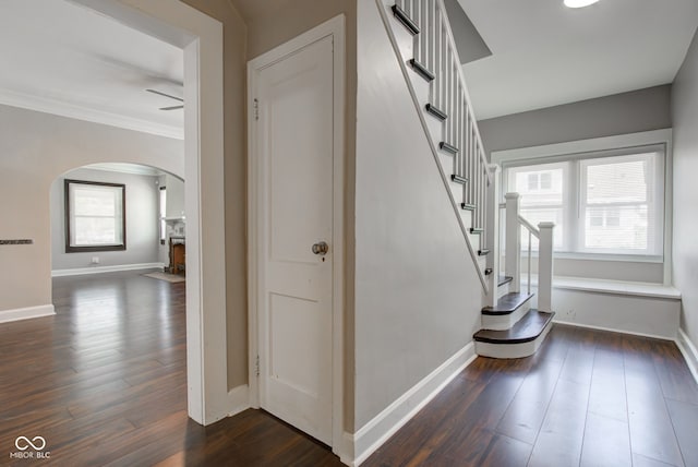 4155 Graceland Ave, Indianapolis, IN 46208 - stairs with arched walkways, wood finished floors, ornamental molding, and a ceiling fan