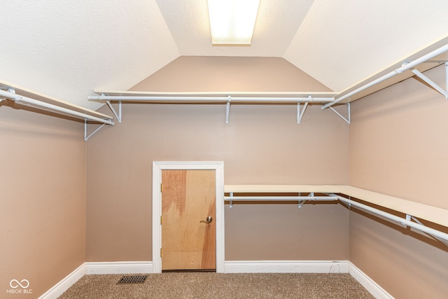 3050 Montgomery Blvd, Lapel, IN 46051 - walk in closet with lofted ceiling and carpet flooring