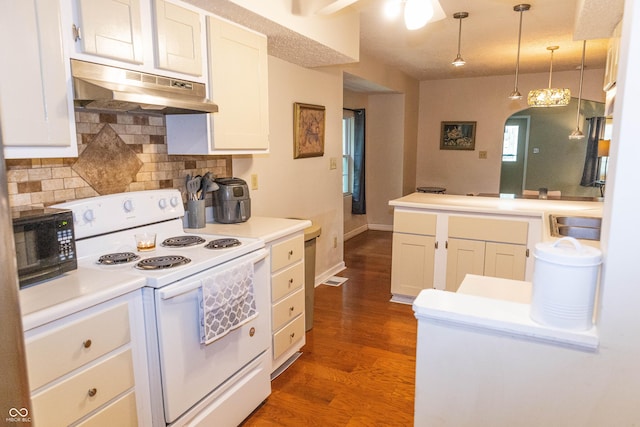 2650 S Meridian St, Indianapolis, IN 46225 - kitchen with white electric range, under cabinet range hood, black microwave, dark wood finished floors, and backsplash
