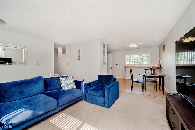 4020 Eisenhower Dr, Indianapolis, IN 46254 - living room with carpet, healthy amount of natural light, and a textured ceiling