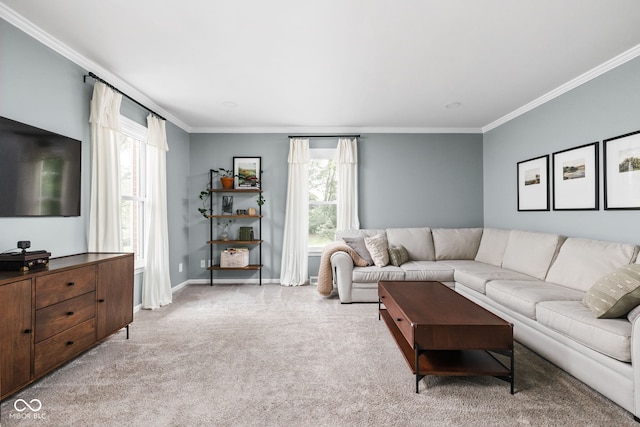 10198 N State Road 75, North Salem, IN 46165 - living area featuring crown molding and light carpet