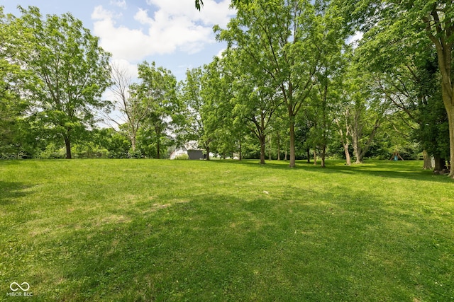 10198 N State Road 75, North Salem, IN 46165 - view of green lawn