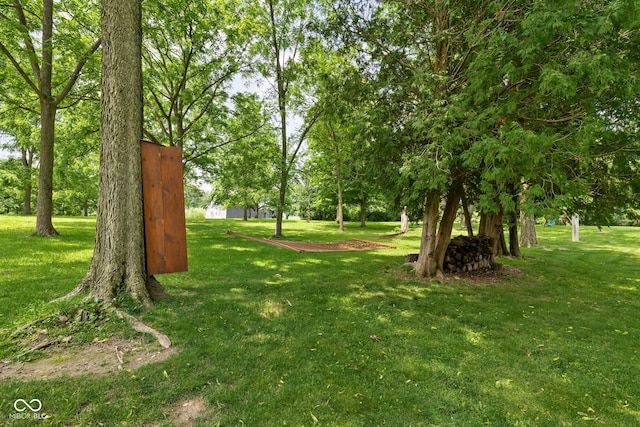 10198 N State Road 75, North Salem, IN 46165 - view of green lawn