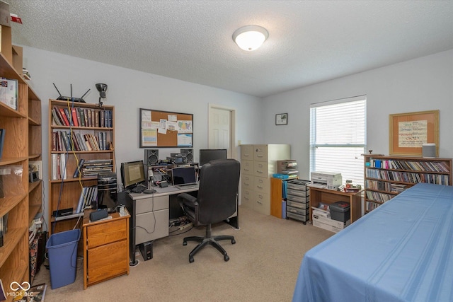 11336 N Creekside Dr, Monrovia, IN 46157 - photo 19