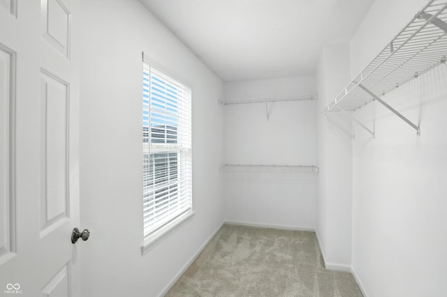 13264 Penneagle Dr, Carmel, IN 46033 - spacious closet with light colored carpet