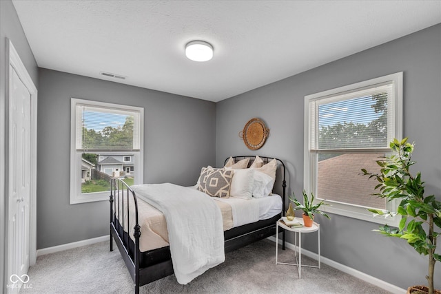 1141 W 35th St, Indianapolis, IN 46208 - bedroom featuring multiple windows and carpet floors