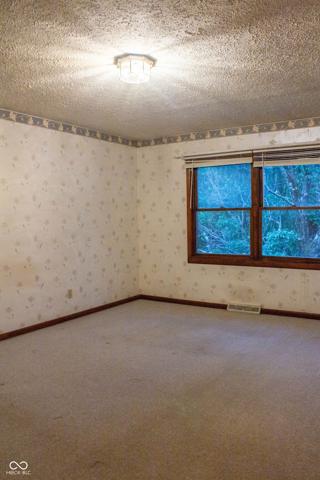 3401 N 75 W, Cayuga, IN 47928 - unfurnished room with carpet flooring and a textured ceiling