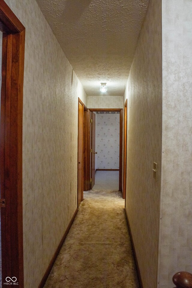 3401 N 75 W, Cayuga, IN 47928 - hall featuring light carpet and a textured ceiling