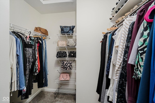 6036 W Bayfront Shrs, Mccordsville, IN 46055 - spacious closet with carpet flooring