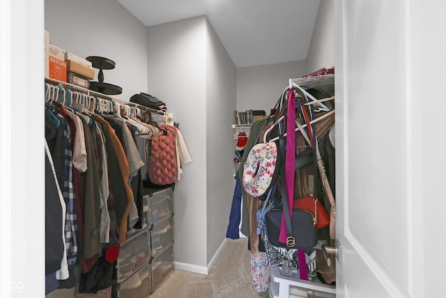 757 Carson Ln, Greenfield, IN 46140 - walk in closet with carpet