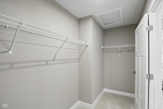 4182 Hume Ave, Plainfield, IN 46168 - walk in closet featuring attic access and carpet