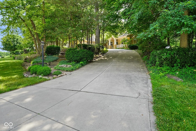 5720 Hickory Hollow Dr, Plainfield, IN 46168 - view of property hidden behind natural elements with driveway