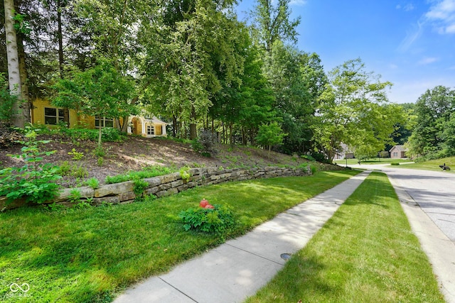 5720 Hickory Hollow Dr, Plainfield, IN 46168 - view of grassy yard