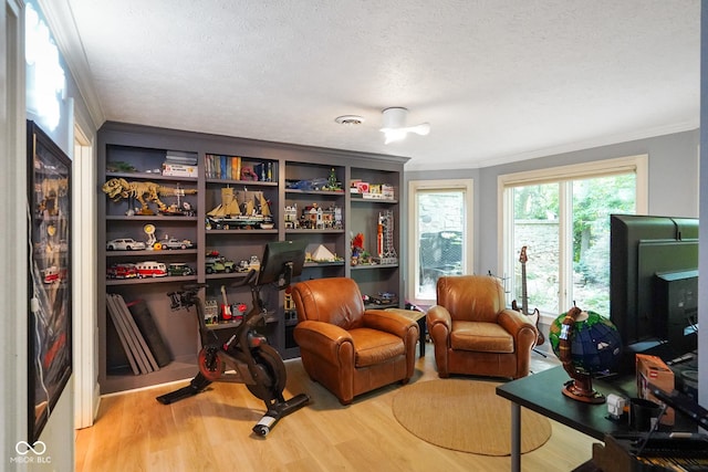 5720 Hickory Hollow Dr, Plainfield, IN 46168 - living area with crown molding, wood finished floors, a textured ceiling, and a desk