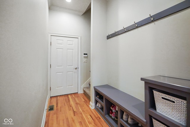 5720 Hickory Hollow Dr, Plainfield, IN 46168 - mudroom with ornamental molding and light wood-type flooring