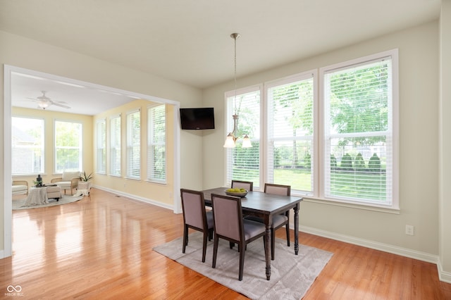 3853 Abney Highland Dr, Zionsville, IN 46077 - photo 14