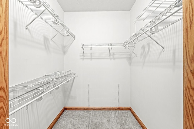 3766 Brill Rd, Indianapolis, IN 46227 - walk in closet with carpet