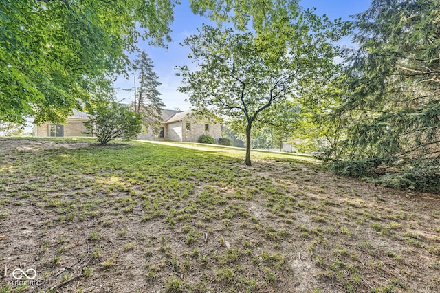 3766 Brill Rd, Indianapolis, IN 46227 - view of green lawn
