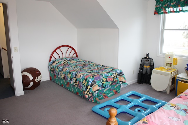 6052 N Deckshire Ln, Shirley, IN 47384 - bedroom with carpet floors and lofted ceiling