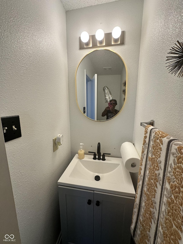 12536 Teacup Way NE, Indianapolis, IN 46235 - bathroom with vanity and a textured wall