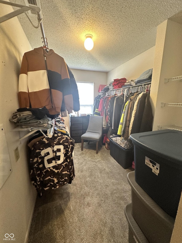12536 Teacup Way NE, Indianapolis, IN 46235 - walk in closet featuring carpet flooring