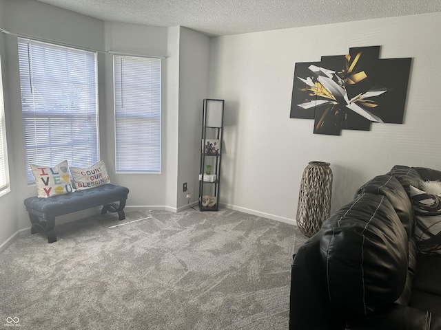 12536 Teacup Way NE, Indianapolis, IN 46235 - sitting room with carpet flooring and a textured ceiling