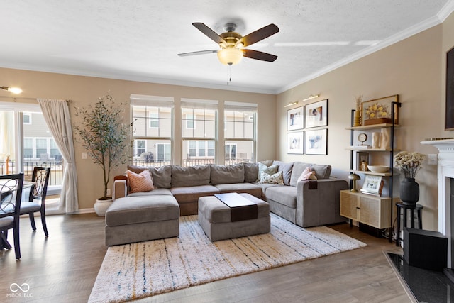 9476 Oakley Dr, Indianapolis, IN 46260 - living area with ceiling fan, wood finished floors, crown molding, a fireplace, and a textured ceiling