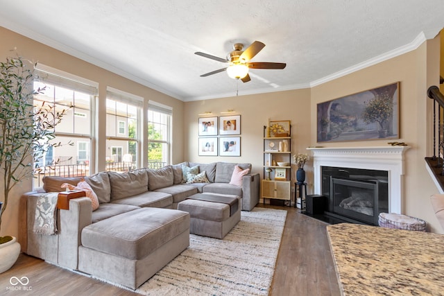 9476 Oakley Dr, Indianapolis, IN 46260 - living area featuring wood finished floors, ceiling fan, a glass covered fireplace, crown molding, and a textured ceiling