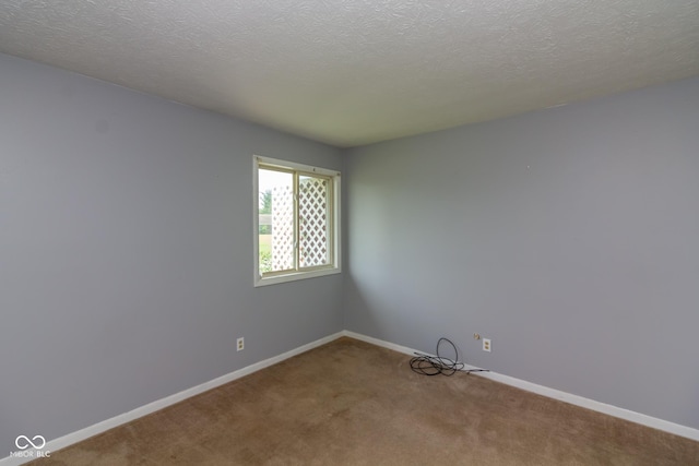 951 W Mckay Rd, Shelbyville, IN 46176 - carpeted empty room with baseboards and a textured ceiling
